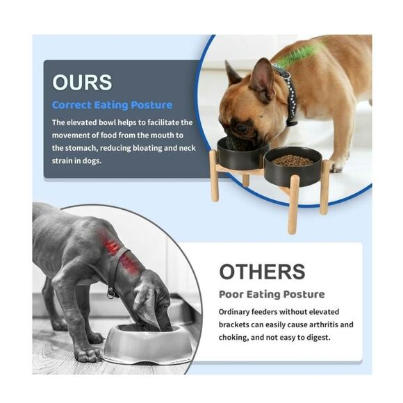 6853 Spunky Junky Raised pet food and water dishes. NEW Black with wood stand - Picture 6 of 7